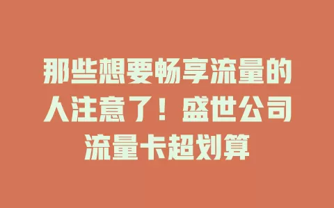 那些想要畅享流量的人注意了！盛世公司流量卡超划算