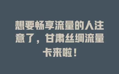 想要畅享流量的人注意了，甘肃丝绸流量卡来啦！