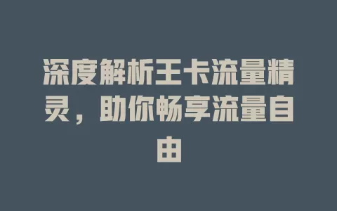 深度解析王卡流量精灵，助你畅享流量自由