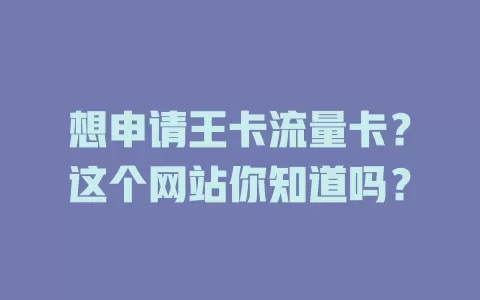 想申请王卡流量卡？这个网站你知道吗？
