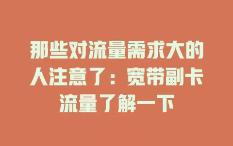 那些对流量需求大的人注意了：宽带副卡流量了解一下