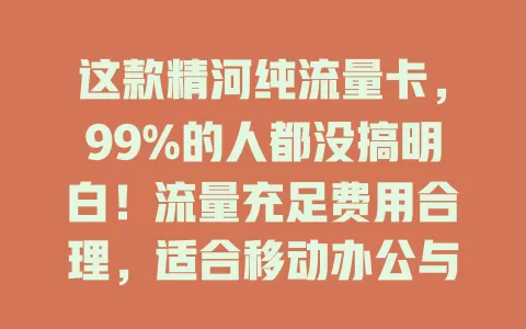 这款精河纯流量卡，99%的人都没搞明白！流量充足费用合理，适合移动办公与在线娱乐，虽有不足但仍是上网好选择