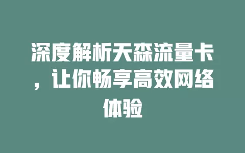 深度解析天森流量卡，让你畅享高效网络体验