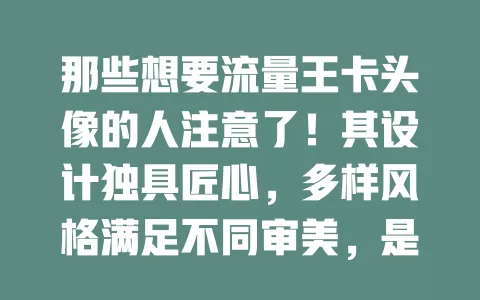 那些想要流量王卡头像的人注意了！其设计独具匠心，多样风格满足不同审美，是身份象征，还体现运营商对用户的关注，小头像蕴含大魅力，带来别样体验