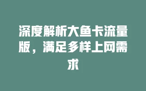 深度解析大鱼卡流量版，满足多样上网需求