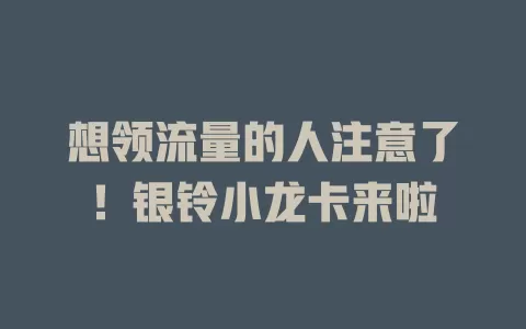 想领流量的人注意了！银铃小龙卡来啦