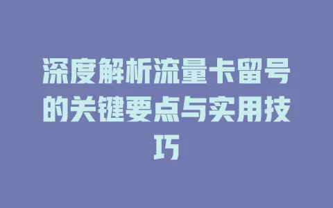 深度解析流量卡留号的关键要点与实用技巧