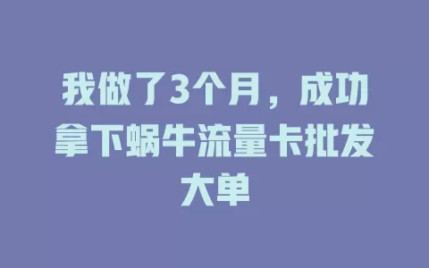 我做了3个月，成功拿下蜗牛流量卡批发大单