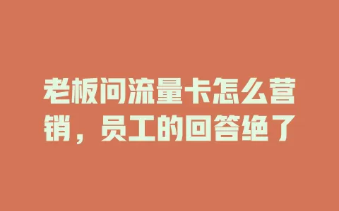 老板问流量卡怎么营销，员工的回答绝了
