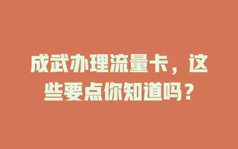 成武办理流量卡，这些要点你知道吗？