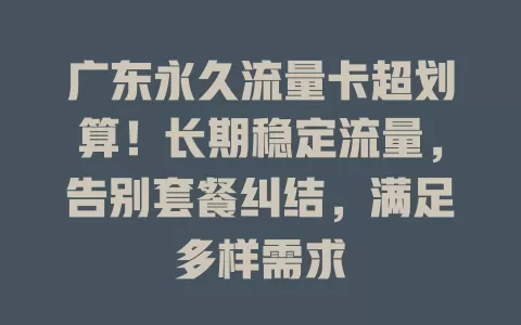 广东永久流量卡超划算！长期稳定流量，告别套餐纠结，满足多样需求