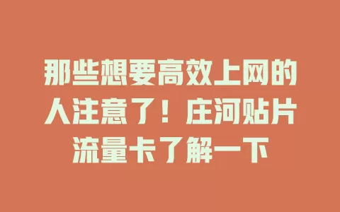 那些想要高效上网的人注意了！庄河贴片流量卡了解一下