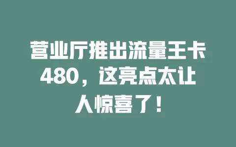 营业厅推出流量王卡480，这亮点太让人惊喜了！