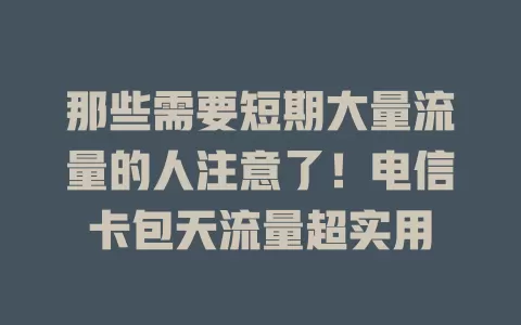 那些需要短期大量流量的人注意了！电信卡包天流量超实用