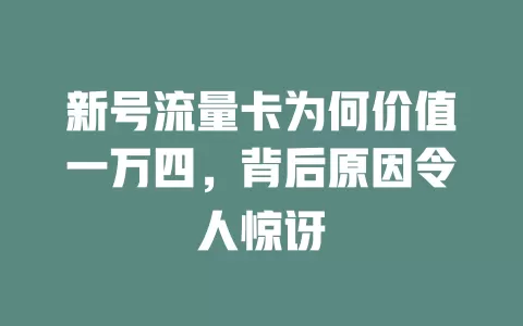 新号流量卡为何价值一万四，背后原因令人惊讶