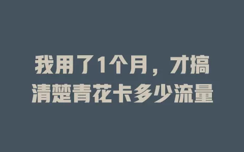 我用了1个月,才搞清楚青花卡多少流量