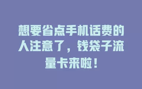 想要省点手机话费的人注意了，钱袋子流量卡来啦！