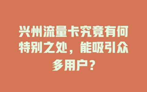 兴州流量卡究竟有何特别之处，能吸引众多用户？