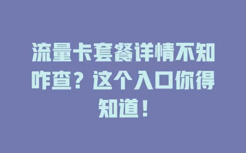 流量卡套餐详情不知咋查？这个入口你得知道！