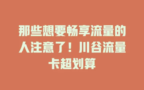 那些想要畅享流量的人注意了！川谷流量卡超划算