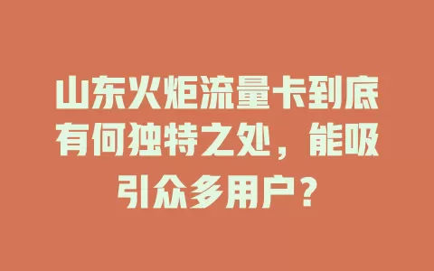 山东火炬流量卡到底有何独特之处，能吸引众多用户？