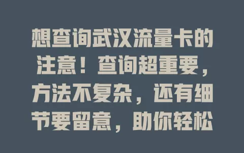 想查询武汉流量卡的注意！查询超重要，方法不复杂，还有细节要留意，助你轻松掌控流量卡使用状况