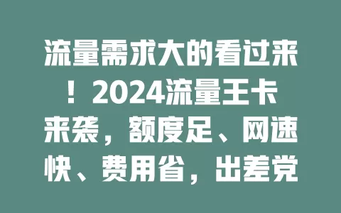 流量需求大的看过来！2024流量王卡来袭，额度足、网速快、费用省，出差党也适用，畅享数字生活