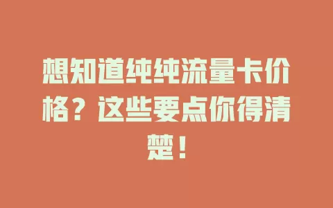 想知道纯纯流量卡价格？这些要点你得清楚！