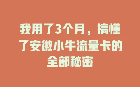 我用了3个月，搞懂了安徽小牛流量卡的全部秘密