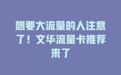 想要大流量的人注意了！文华流量卡推荐来了