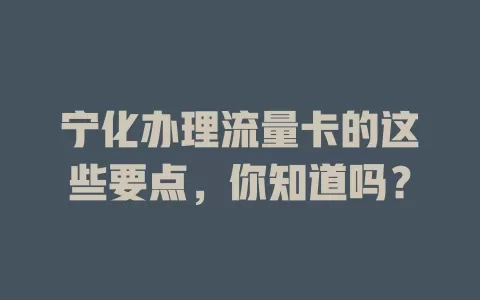宁化办理流量卡的这些要点，你知道吗？