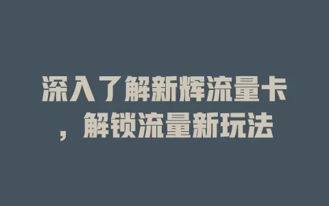 深入了解新辉流量卡，解锁流量新玩法