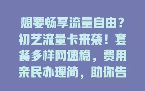 想要畅享流量自由？初艺流量卡来袭！套餐多样网速稳，费用亲民办理简，助你告别流量困扰