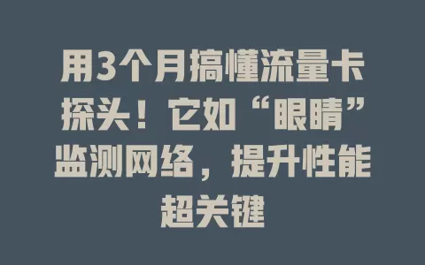 用3个月搞懂流量卡探头！它如“眼睛”监测网络，提升性能超关键