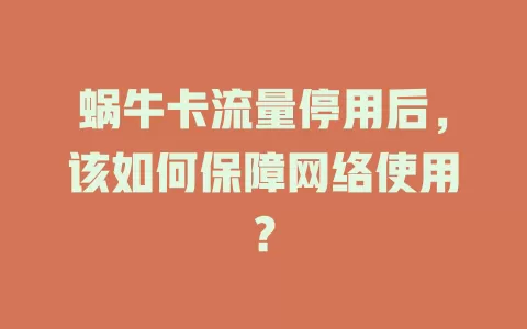 蜗牛卡流量停用后,该如何保障网络使用?
