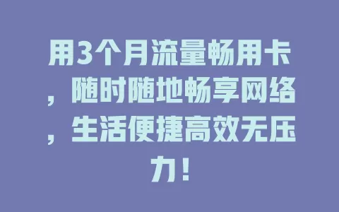 用3个月流量畅用卡，随时随地畅享网络，生活便捷高效无压力！