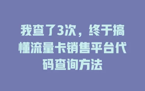 我查了3次，终于搞懂流量卡销售平台代码查询方法