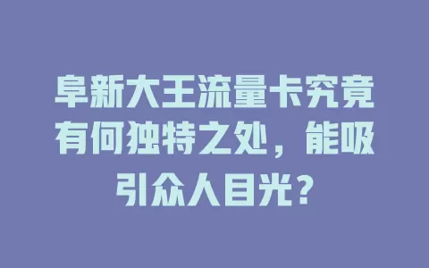 阜新大王流量卡究竟有何独特之处，能吸引众人目光？