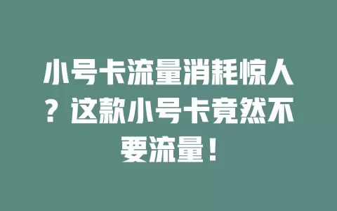 小号卡流量消耗惊人？这款小号卡竟然不要流量！