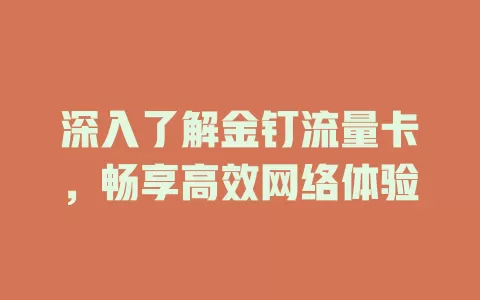 深入了解金钉流量卡，畅享高效网络体验