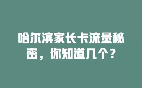 哈尔滨家长卡流量秘密，你知道几个？