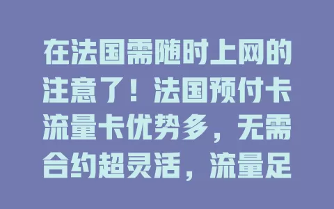 在法国需随时上网的注意了！法国预付卡流量卡优势多，无需合约超灵活，流量足费用透明，充值方便，是旅者、留学生、商务人士上网优质之选