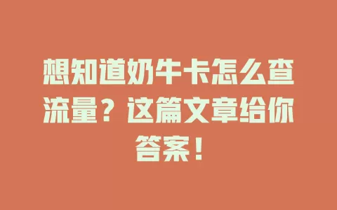 想知道奶牛卡怎么查流量？这篇文章给你答案！