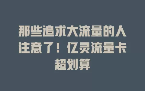 那些追求大流量的人注意了！亿灵流量卡超划算
