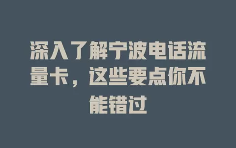 深入了解宁波电话流量卡，这些要点你不能错过