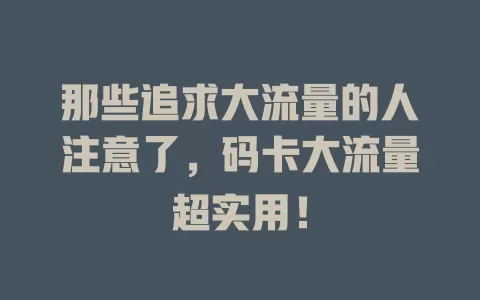 那些追求大流量的人注意了，码卡大流量超实用！