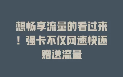 想畅享流量的看过来！强卡不仅网速快还赠送流量