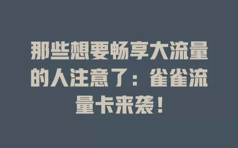 那些想要畅享大流量的人注意了：雀雀流量卡来袭！