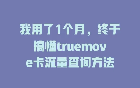 我用了1个月，终于搞懂truemove卡流量查询方法