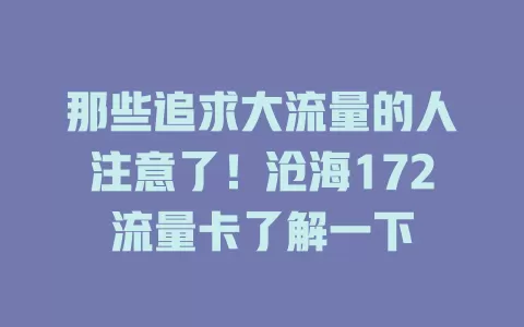 那些追求大流量的人注意了！沧海172流量卡了解一下